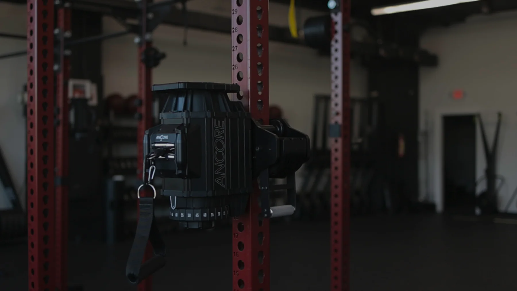 Dual ANCOREX cable training setup